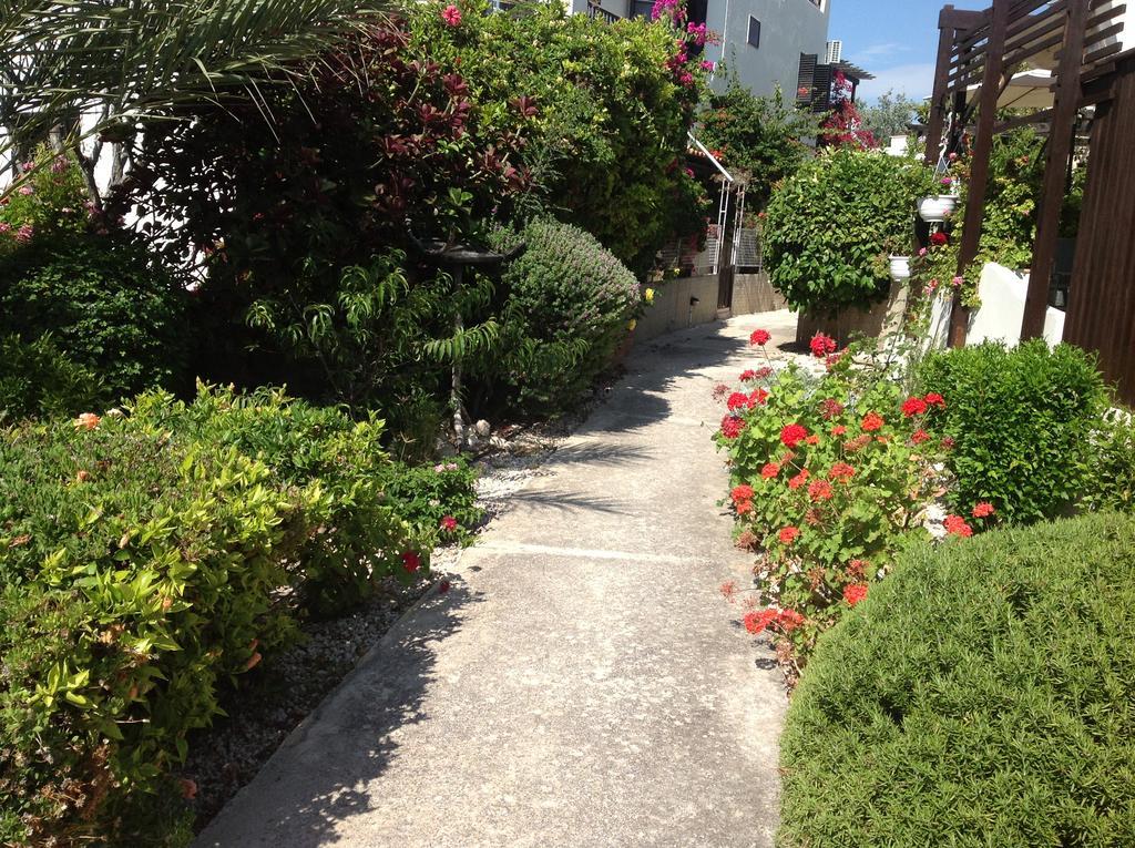Paphos Townhouse Villa Luaran gambar